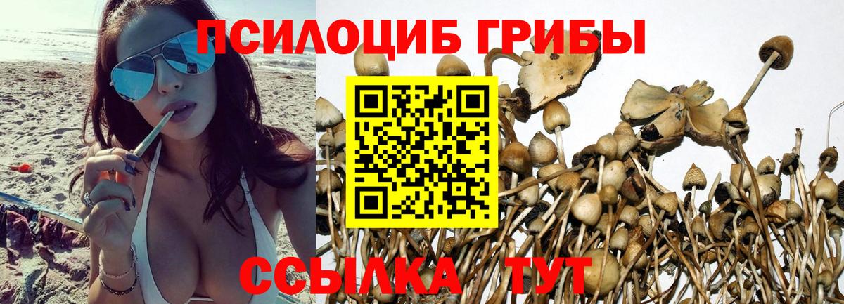Волоколамск  Галлюциногенные грибы мухоморы  Вход с VPN  Псилоцибиновые грибы мухоморы 