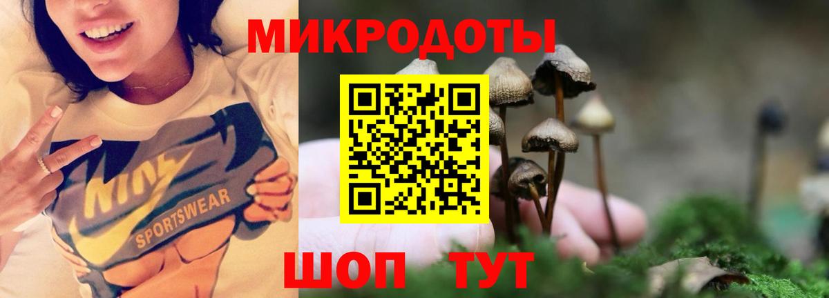 Галлюциногенные грибы Psilocybine cubensis Волоколамск